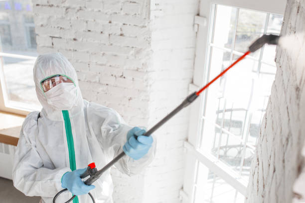 Mold Remediation for Rental Properties in Mountain View, NC