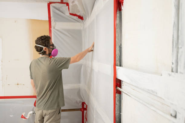 Best Mold Remediation for Healthcare Facilities  in Mountain View, NC