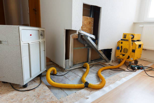Best Comprehensive Air Testing for Mold Contaminants  in Mountain View, NC