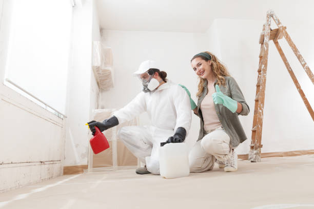 Best Forensic Mold Investigation  in Mountain View, NC