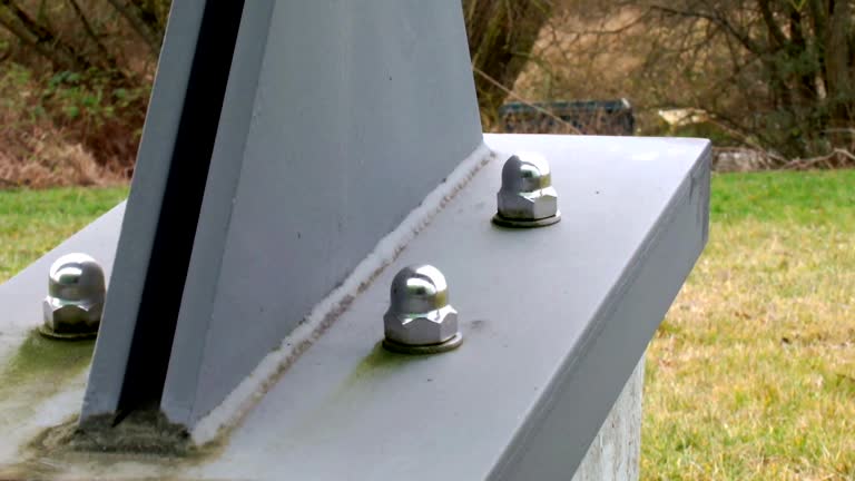Best Mold Documentation for Insurance Claims  in Mountain View, NC